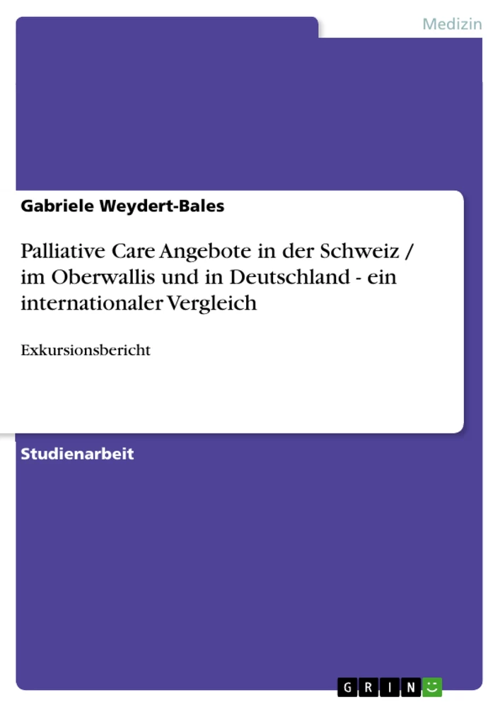 Titel: Palliative Care Angebote in der Schweiz / im Oberwallis und in Deutschland - ein internationaler Vergleich
