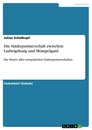 Titel: Die Städtepartnerschaft zwischen Ludwigsburg und Mömpelgard