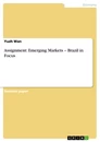 Title: Assignment: Emerging Markets – Brazil in Focus