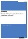 Titel: Juvenile Delinquency in the United States. Causes and Prevention