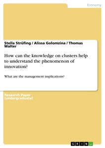Title: How can the knowledge on clusters help to understand the phenomenon of innovation?
