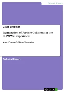 Título: Examination of Particle Collisions in the COMPASS experiment