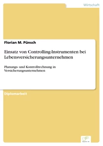 Titel: Einsatz von Controlling-Instrumenten bei Lebensversicherungsunternehmen