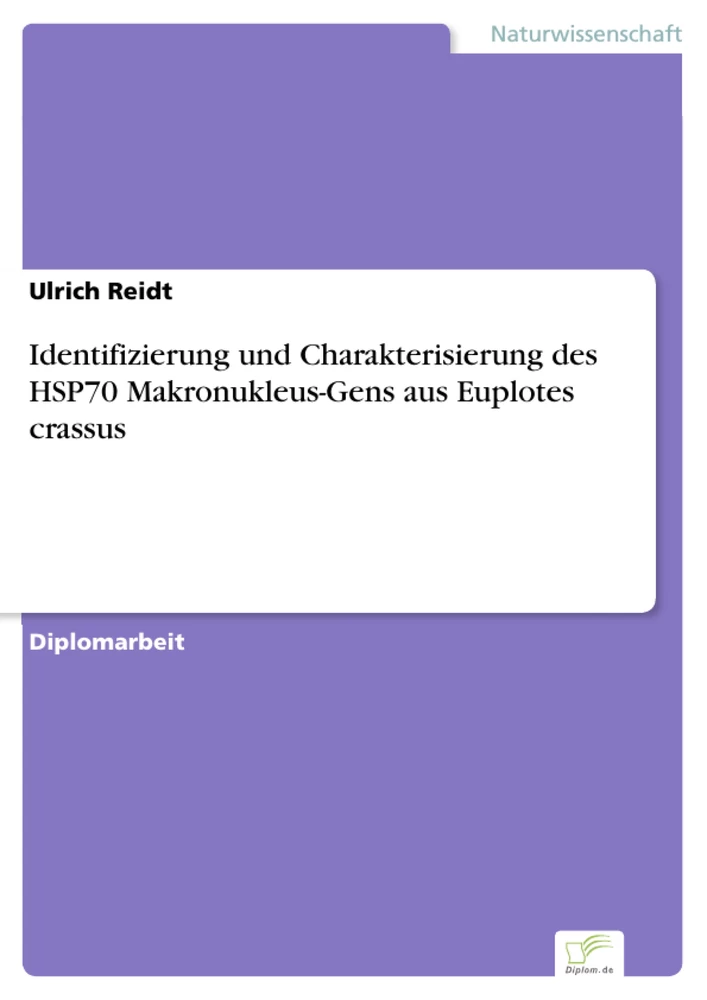 Titel: Identifizierung und Charakterisierung des HSP70 Makronukleus-Gens aus Euplotes crassus