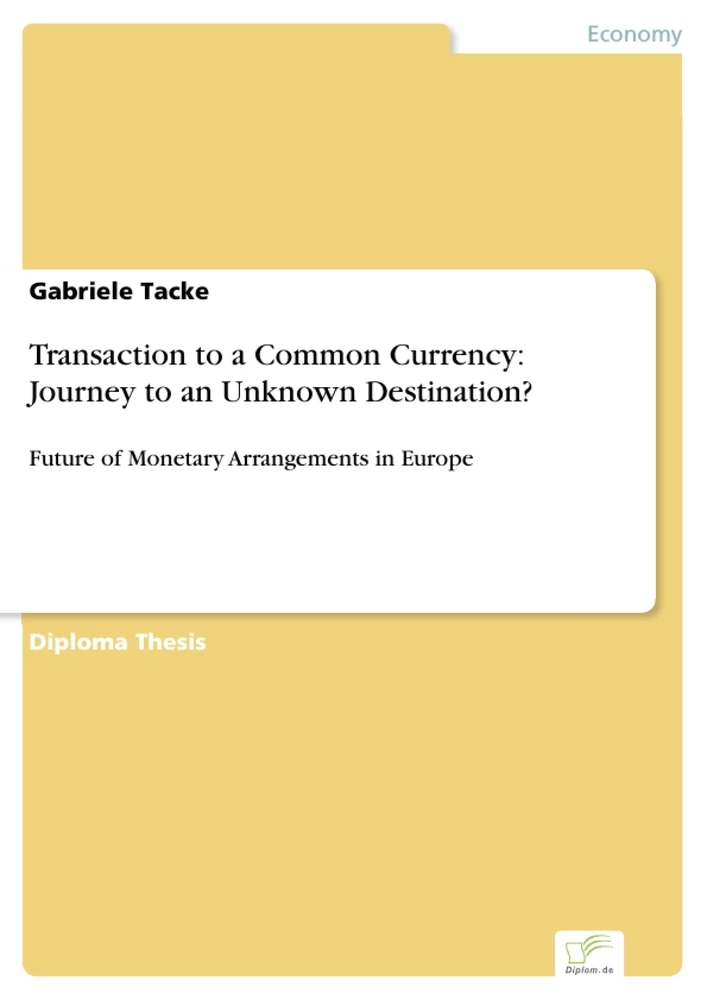 Titel: Transaction to a Common Currency: Journey to an Unknown Destination?