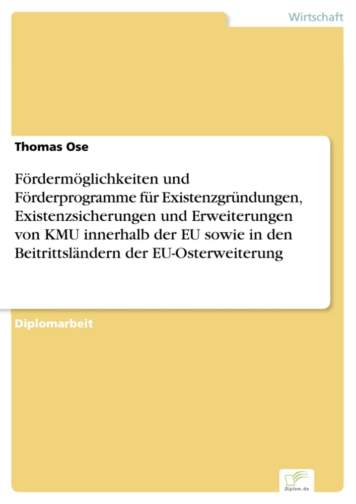 Titel: Fördermöglichkeiten und Förderprogramme für Existenzgründungen, Existenzsicherungen und Erweiterungen von KMU innerhalb der EU sowie in den Beitrittsländern der EU-Osterweiterung
