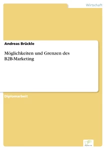 Titel: Möglichkeiten und Grenzen des B2B-Marketing