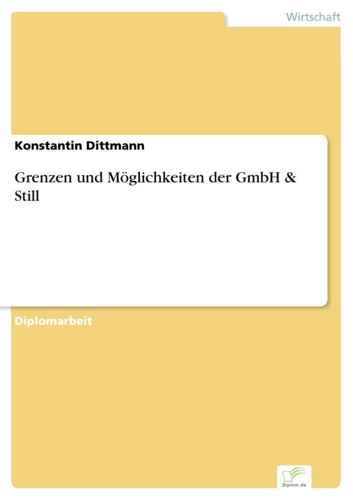 Titel: Grenzen und Möglichkeiten der GmbH & Still