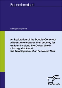 Titel: An Exploration of the Double-Conscious African- Americans on their Journey for an Identity along the Colour Line in -Passing, Quicksand, The Autobiography of an Ex-colored Man