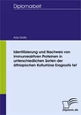 Titel: Identifizierung und Nachweis von immunreaktiven Proteinen in unterschiedlichen Sorten der äthiopischen Kulturhirse Eragrostis tef