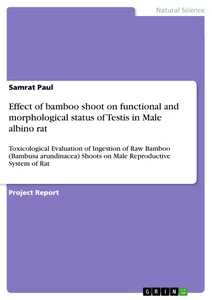 Title: Effect of bamboo shoot on functional and morphological status of Testis in Male albino rat