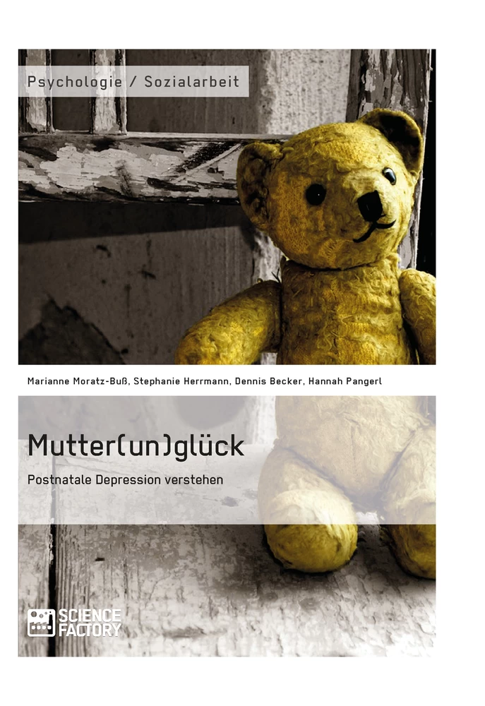 Titre: Mutter(un)glück. Postnatale Depression verstehen