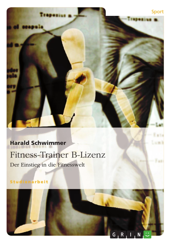 Titel: Fitness-Trainer B-Lizenz