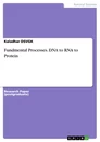 Titel: Fundmental Processes. DNA to RNA to Protein
