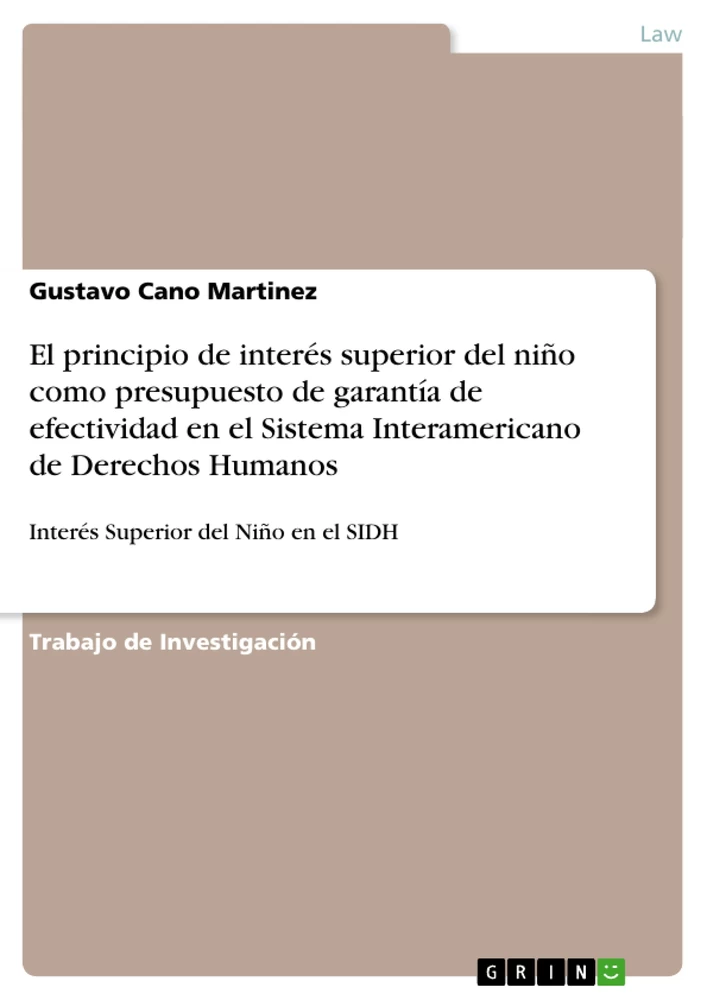 Titel: El principio de interés superior del niño como presupuesto de garantía de efectividad en el Sistema Interamericano de Derechos Humanos