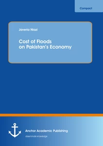 Title: Cost of Floods on Pakistan’s Economy