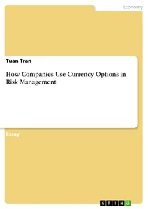Titel: How Companies Use Currency Options in Risk Management