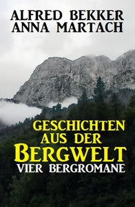 Titel: Geschichten aus der Bergwelt: Vier Bergromane