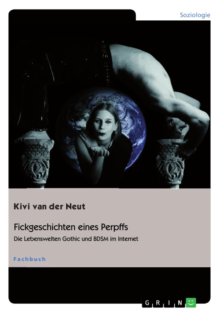 Title: Fickgeschichten eines Perpffs. Die Lebenswelten Gothic und BDSM im Internet