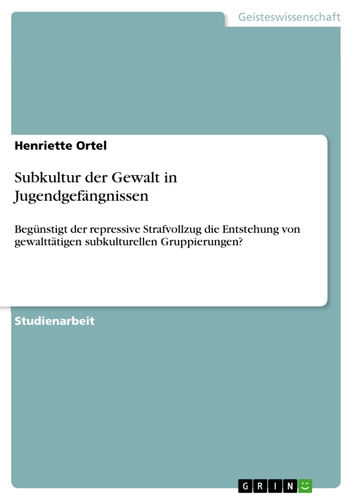 Titel: Subkultur der Gewalt in Jugendgefängnissen