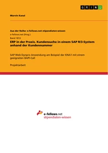 Titel: ERP in der Praxis. Kundensuche in einem SAP R/3-System anhand der Kundennummer