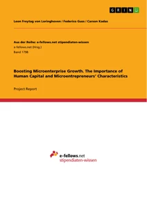 Titel: Boosting Microenterprise Growth. The Importance of Human Capital and Microentrepreneurs’ Characteristics