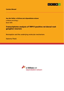Title: Transcriptome analysis of TRPV1-positive rat  dorsal root ganglion neurons