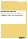 Title: Corporate Entrepreneurship. What do Companies require from Entrepreneurs?