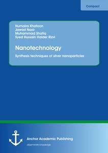 Title: Nanotechnology. Synthesis techniques of silver nanoparticles