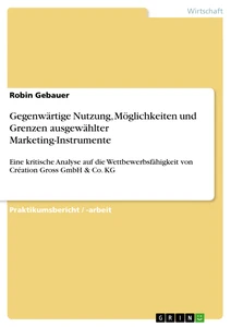 Titre: Gegenwärtige Nutzung, Möglichkeiten und Grenzen ausgewählter Marketing-Instrumente