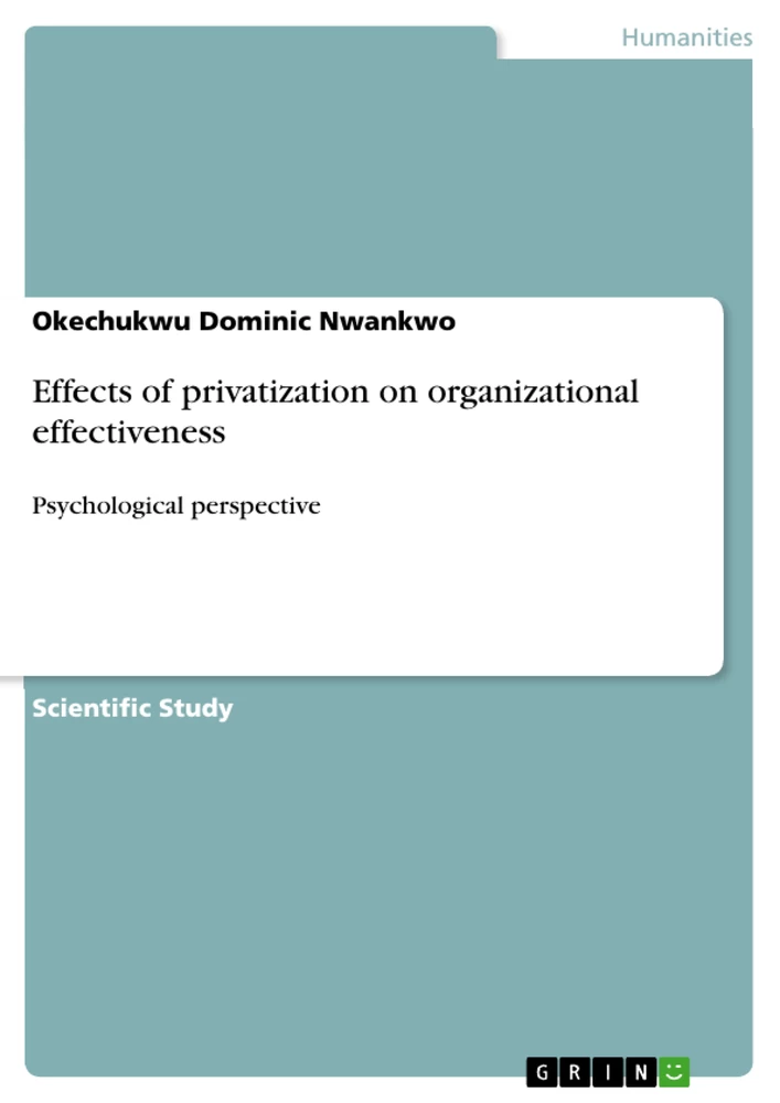 Titel: Effects of privatization on organizational effectiveness
