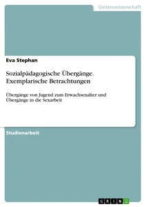 Title: Sozialpädagogische Übergänge. Exemplarische Betrachtungen