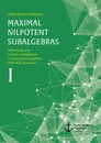 Title: Maximal nilpotent subalgebras I: Nilradicals and Cartan subalgebras in associative algebras. With 428 exercises