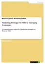 Titre: Marketing Strategy for SMEs in Emerging Economies