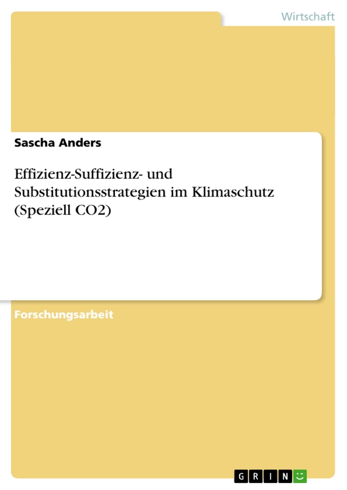 Titel: Effizienz-Suffizienz- und Substitutionsstrategien im Klimaschutz (Speziell CO2)