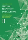 Title: Maximal nilpotent subalgebras II: A correspondence theorem within solvable associative algebras. With 242 exercises