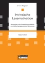 Titel: Intrinsische Lesemotivation. Wirkungen und Einsatzmöglichkeiten von bibliotherapeutischen Aktivitäten