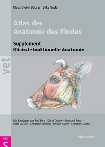 Titel: Atlas der Anatomie des Rindes