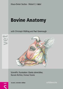 Titel: Bovine Anatomy