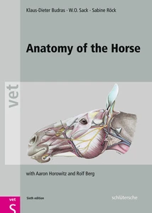 Titel: Anatomy of the Horse