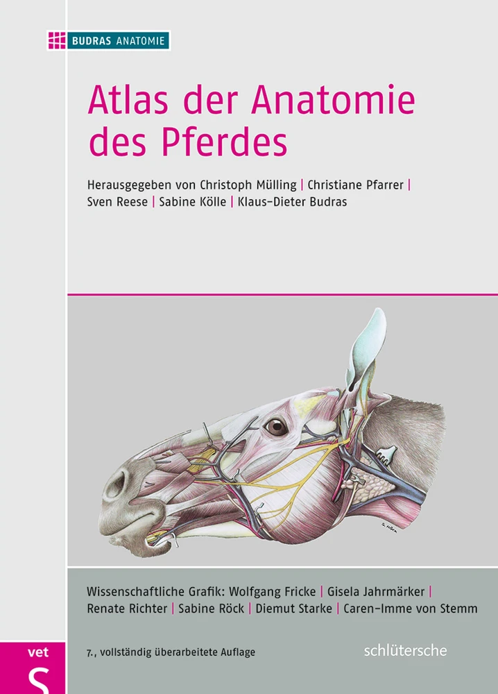 Titel: Atlas der Anatomie des Pferdes