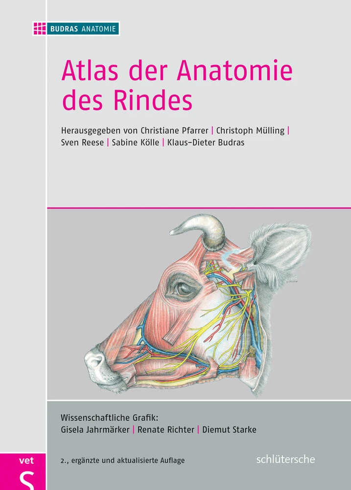 Titel: Atlas der Anatomie des Rindes