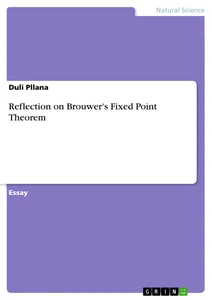 Title: Reflection on Brouwer's Fixed Point Theorem