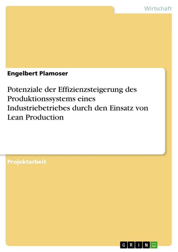 Titel: Potenziale der Effizienzsteigerung des Produktionssystems eines Industriebetriebes durch den Einsatz von Lean Production