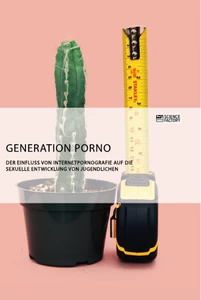 Titel: Generation Porno. Der Einfluss von Internetpornografie auf die sexuelle Entwicklung von Jugendlichen
