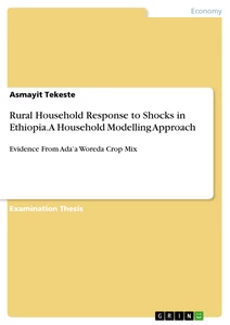 Title: Rural Household Response to Shocks in Ethiopia. A Household Modelling Approach