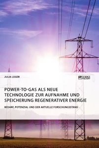 Titel: Power-to-Gas als neue Technologie zur Aufnahme und Speicherung regenerativer Energie. Bedarf, Potenzial und der aktuelle Forschungsstand