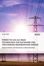 Titre: Power-to-Gas als neue Technologie zur Aufnahme und Speicherung regenerativer Energie. Bedarf, Potenzial und der aktuelle Forschungsstand