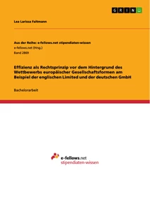 Titel: Effizienz als Rechtsprinzip vor dem Hintergrund des Wettbewerbs europäischer Gesellschaftsformen am Beispiel der englischen Limited und der deutschen GmbH
