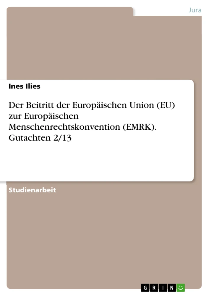 Titel: Der Beitritt der Europäischen Union (EU) zur Europäischen Menschenrechtskonvention (EMRK). Gutachten 2/13